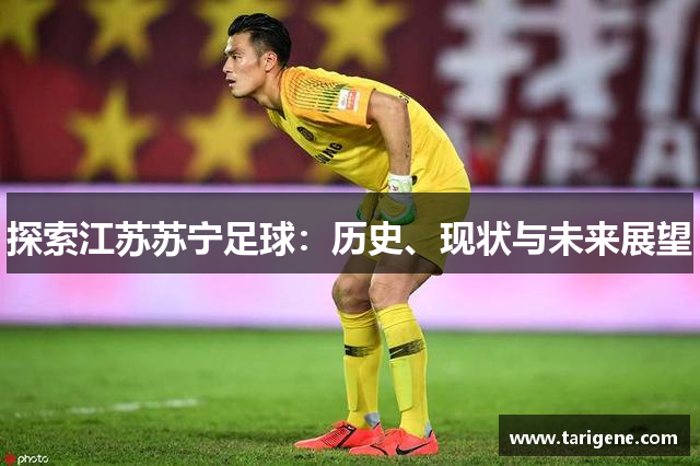 探索江苏苏宁足球：历史、现状与未来展望