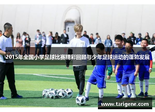 2015年全国小学足球比赛精彩回顾与少年足球运动的蓬勃发展