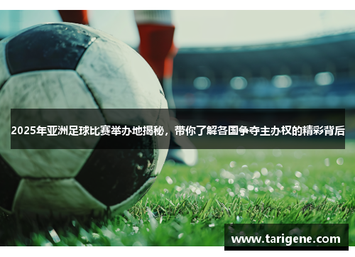 2025年亚洲足球比赛举办地揭秘，带你了解各国争夺主办权的精彩背后